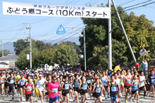 コースの様子