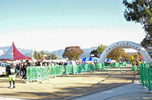 コースの様子