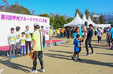 コースの様子