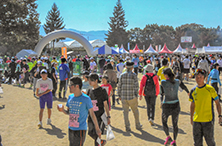 コースの様子
