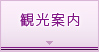 観光案内